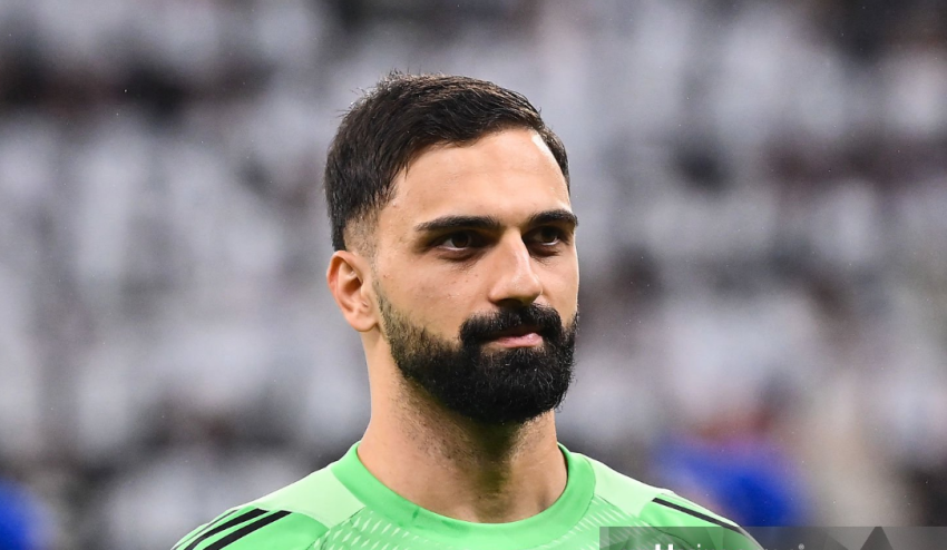 "მამარდაშვილი ამისთვის საკმარისად ძლიერია" - რა თქვეს ქართველ მეკარეზე