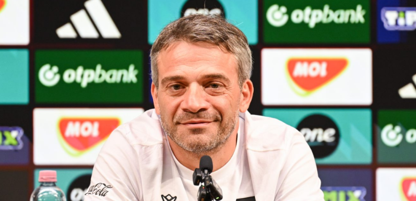 რამაზ სვანაძის პრესკონფერენცია ჩრდ.ირლანდიასთან მატჩის წინ